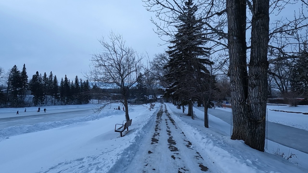 Calgary Park Walk 22nd Feb 2026