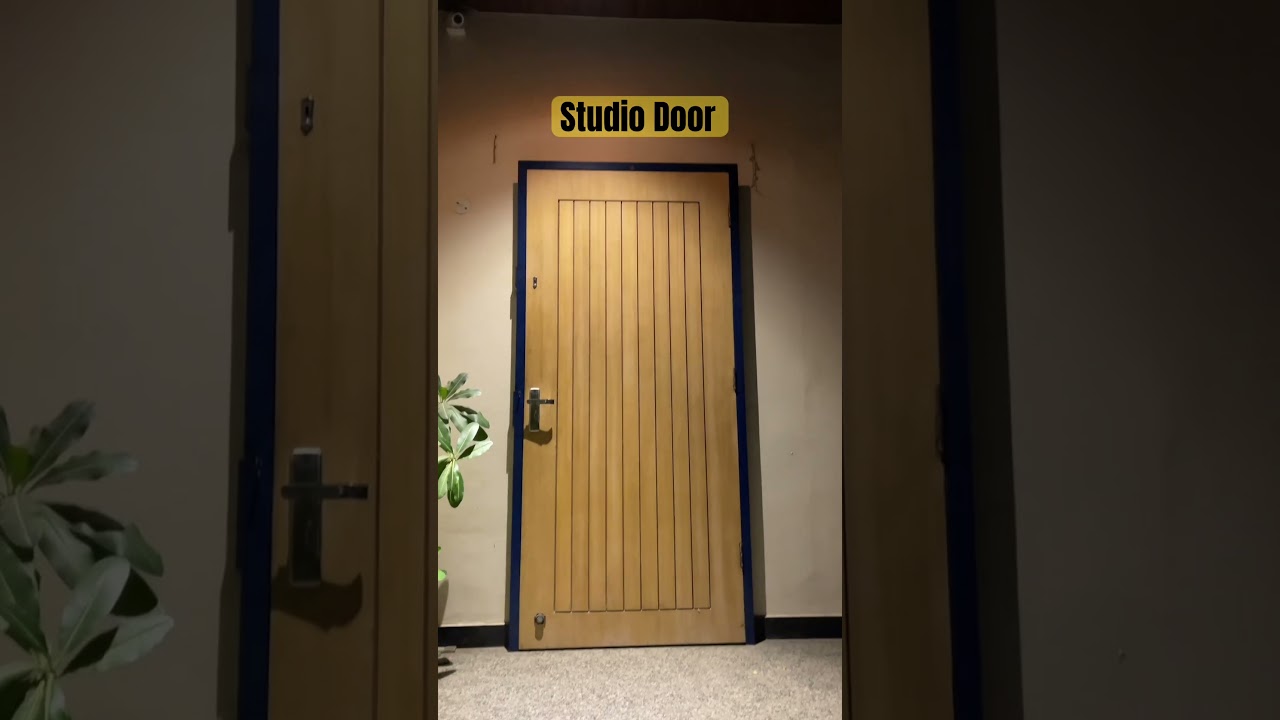 Studio Door #doors #doordesign #shorts #interiordesigner #trending #viral #youtubeshorts