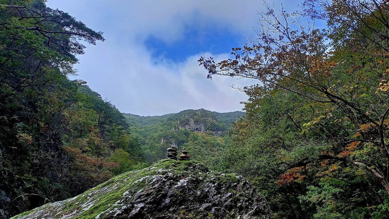 10월 22일 연차에 비 오는 날 청송 주왕산 주산지, 절골계곡 운치있는 가을 풍경보고 칼국수 먹고왔어요😊👍