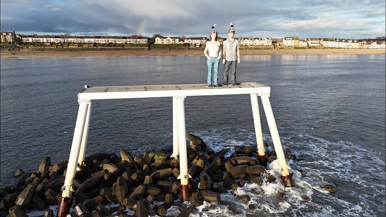 Dolphin spotting Newbiggin By The Sea