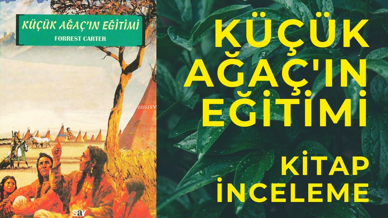 Küçük Ağaç'ın Eğitimi | Kitap İnceleme
