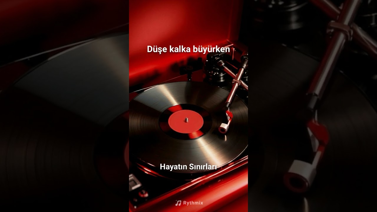 Hayatın Sınırları