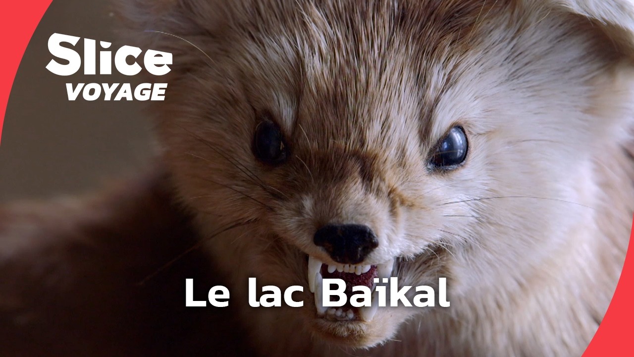 La vie secrète des lacs - Baïkal, de glace et d'eau I SLICE VOYAGE