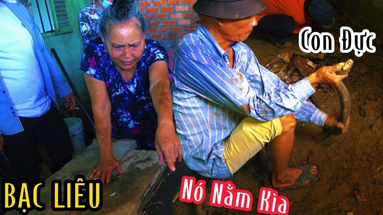Bạc Liêu_ Cặp Rắn Cực Độc Sống Lâu Năm Với Bà Tư 70 Tuổi_ Nguy Hiểm | Mười Thương SB