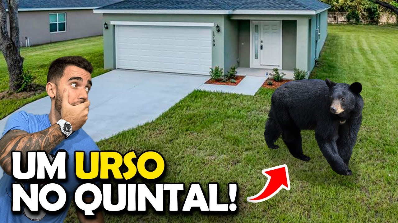 Apareceu um URSO no quintal do vizinho aqui em Orlando! Nos mudamos para a selva nos EUA?