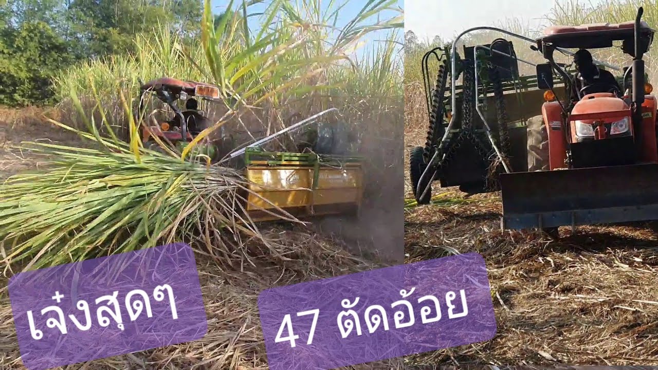 รีวิวเครื่องตัดอ้อยติดรถไถ!!.47 แรงทำงานเร็วน่าสนมาก!!??