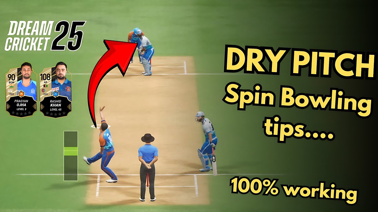 Dream cricket 25 