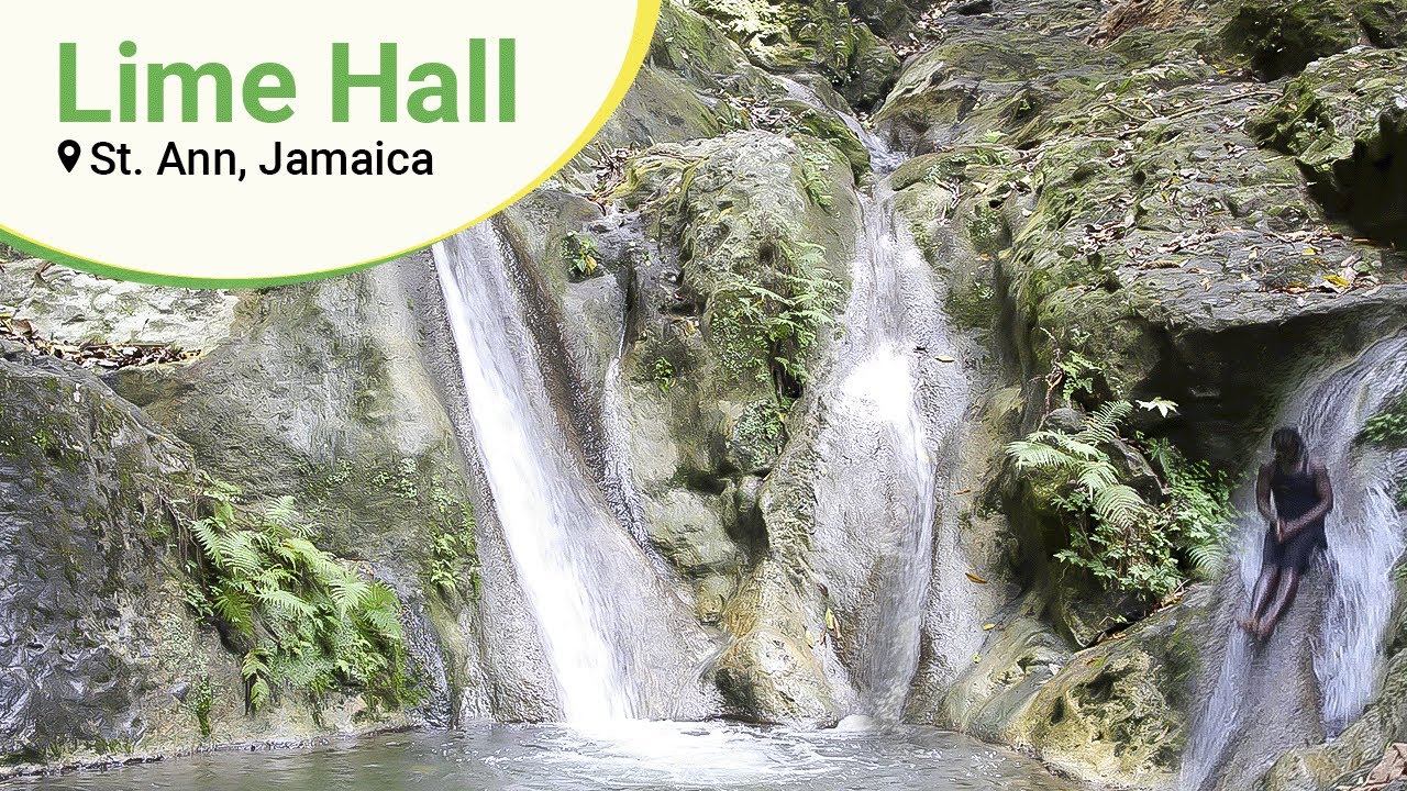Lime Hall, St. Ann  |  Nature Adventure Jamaica