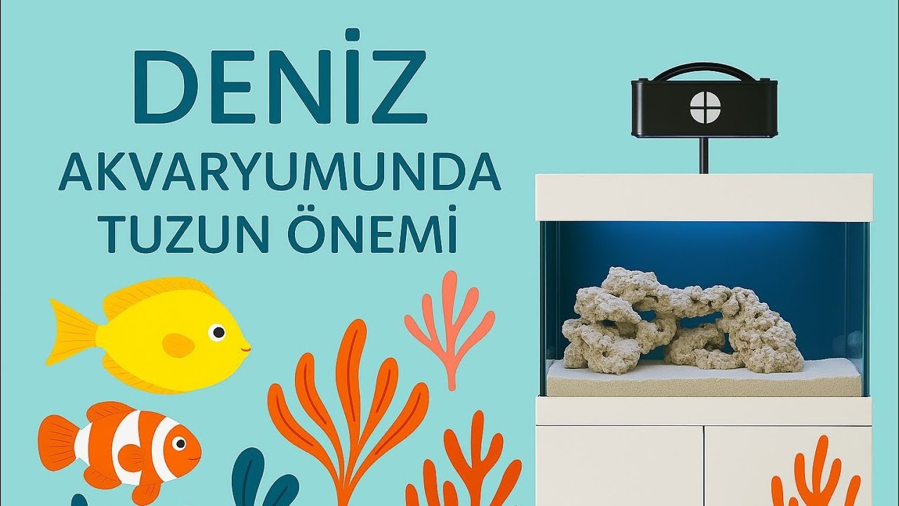 Deniz Akvaryumunda Tuzun Önemi ve Özelliği