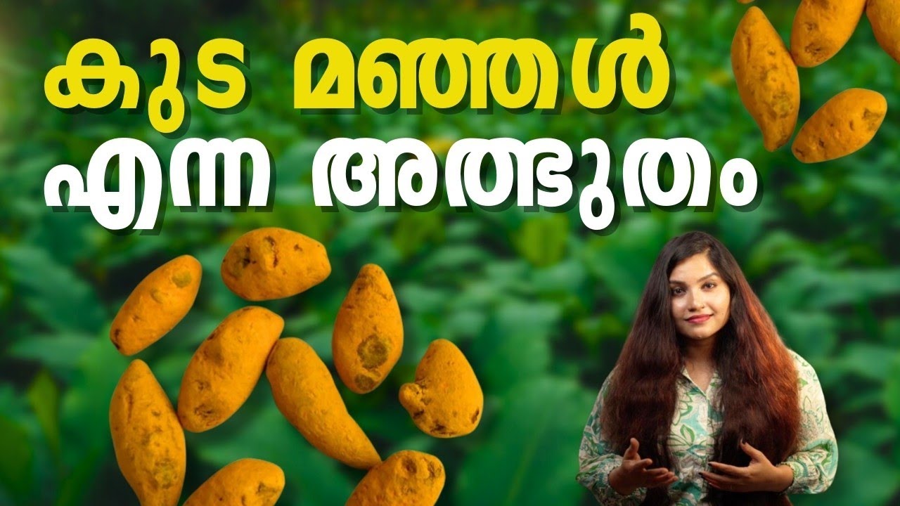 ചുളിവുകളും പാടുകളും വേഗത്തിൽ മാറ്റുന്ന ഉണ്ട മഞ്ഞൾ #antiaging #antiagingtips