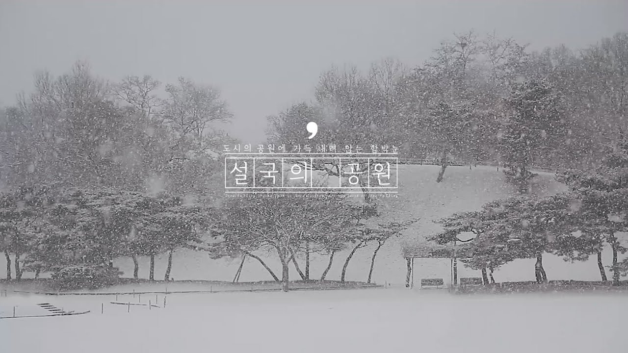 Snow Country Park Звук падающего снега и спокойный пейзаж