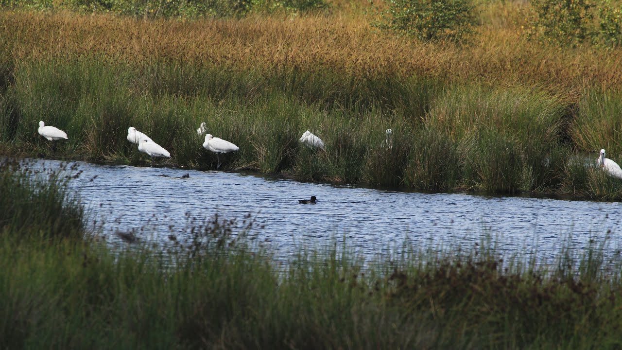 Fietsen door Nationaal Park Dwingelderveld