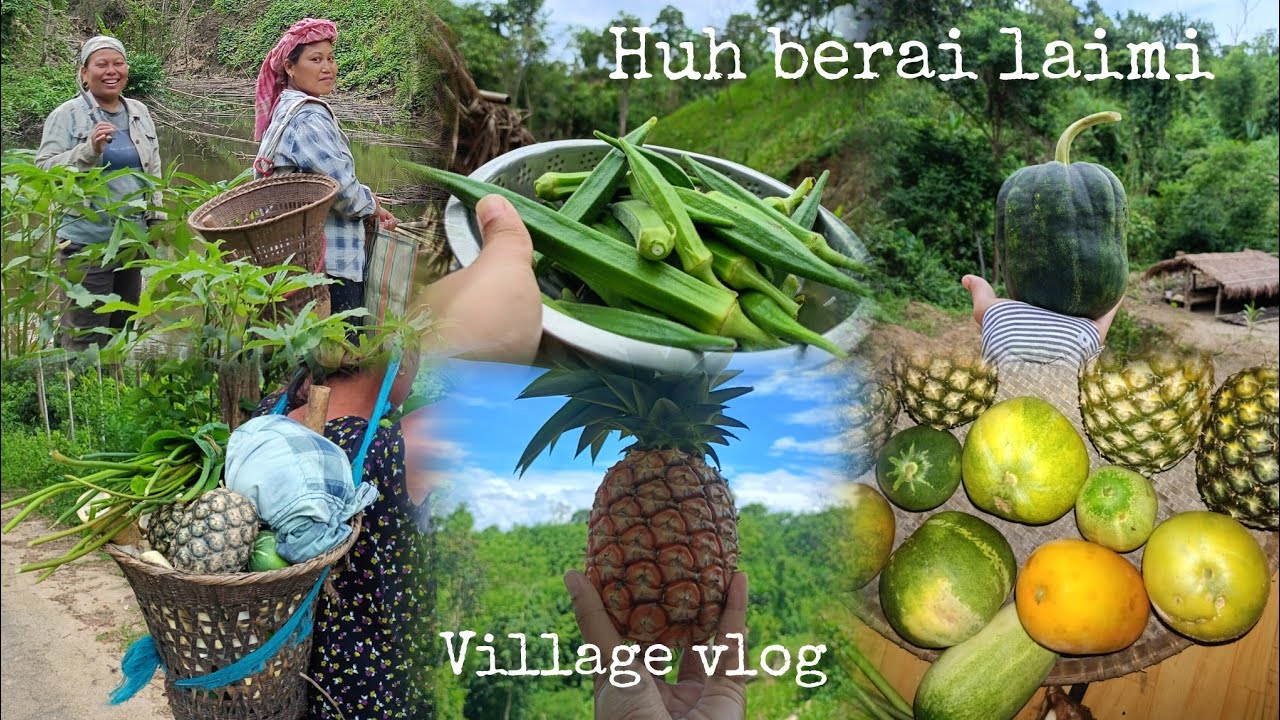 HUH BERAI LAIMI🥬🍍//village lifestyle//Upper dasda//#dailyvideo #villagevlog #greenerynature