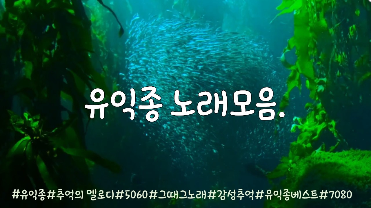 추억의 노래 모음 | 유익종과 함께하는 옛날 감성