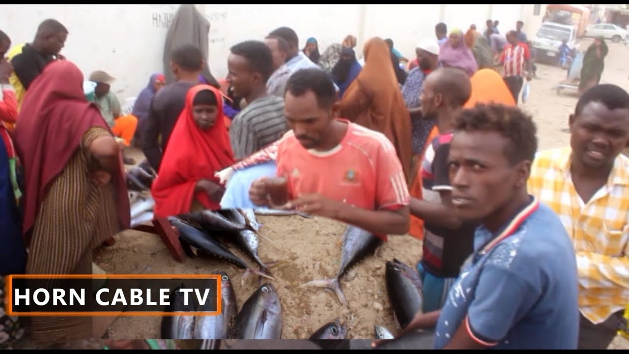 Hoos U Dhac Ayaa Ku Yimid Kalluunka Magaaladda Boosaaso