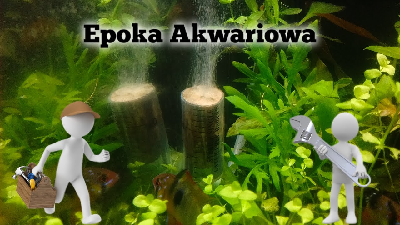 DIY Aquarium co2 diffuser - Jak zrobić dyfuzor co2 z kostki lipowej ? / epoka akwariowa