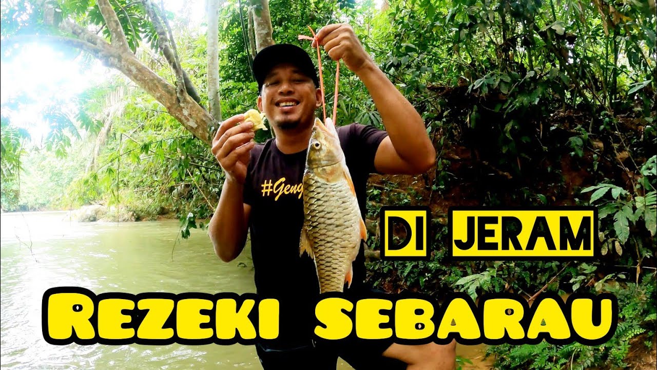Memburu Ikan di Jeram//Sebarau/Tengas/kejo. #gengdunia