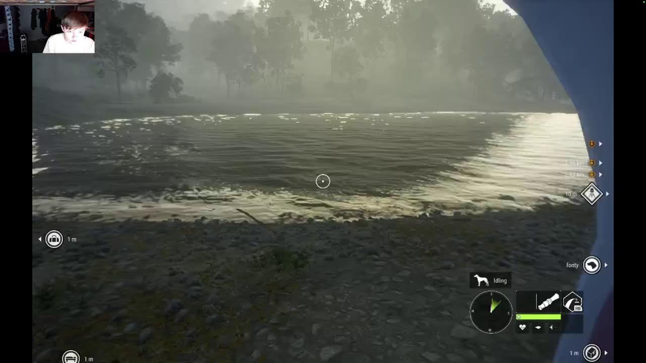 lokking for tiger cotw