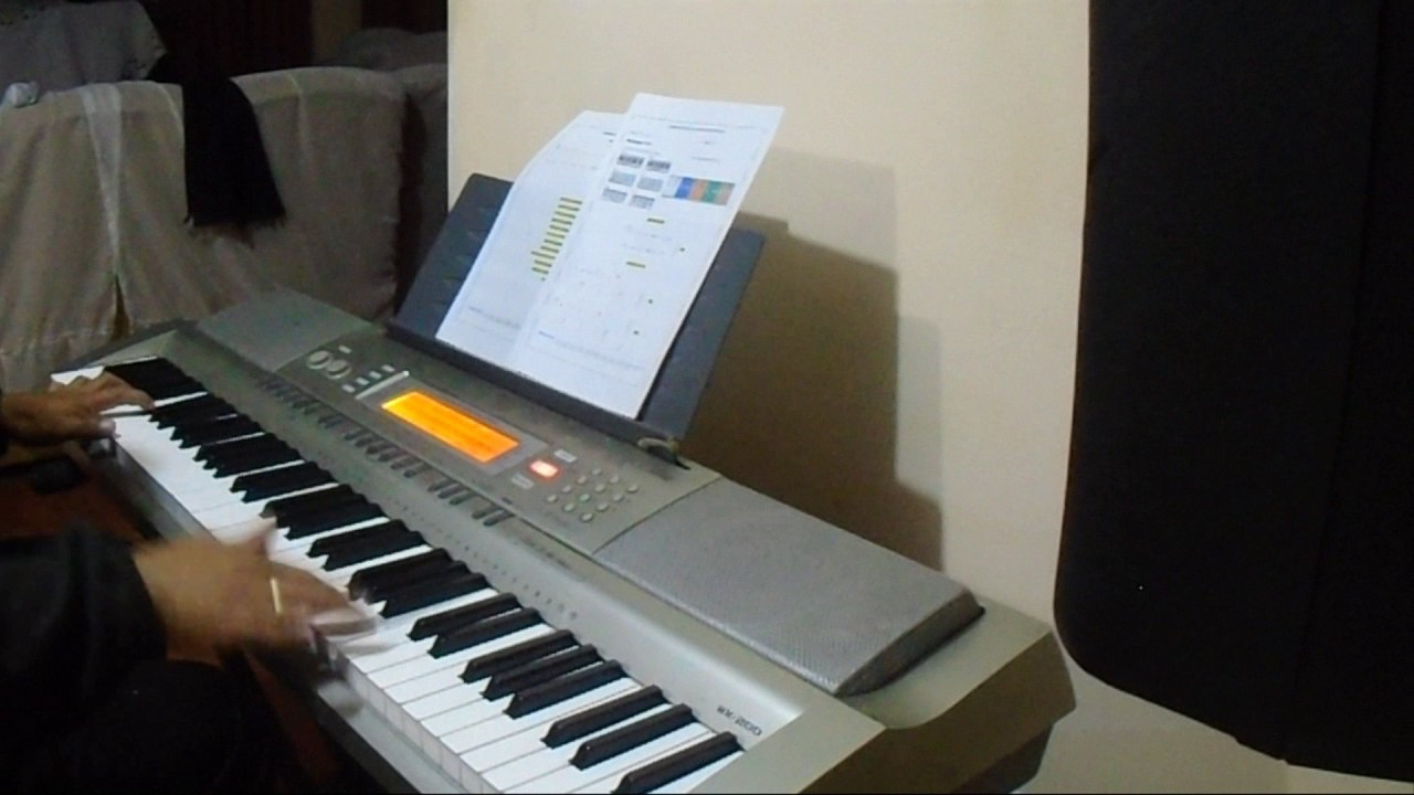 MARIA ESTHER/CAMBA CUSA SANJUANITO- ÑANDA MANACHI - INSTRUMENTAL EN TECLADO