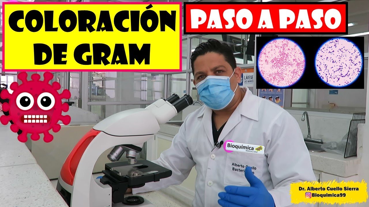 COLORACION DE GRAM, Explicacion paso a paso.