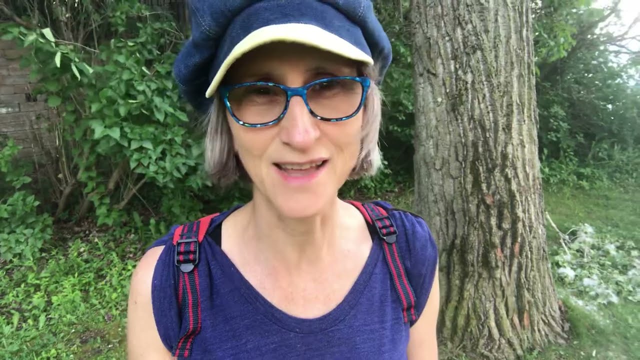 VYSTOPIA, VEGANPHOBIA & YOU