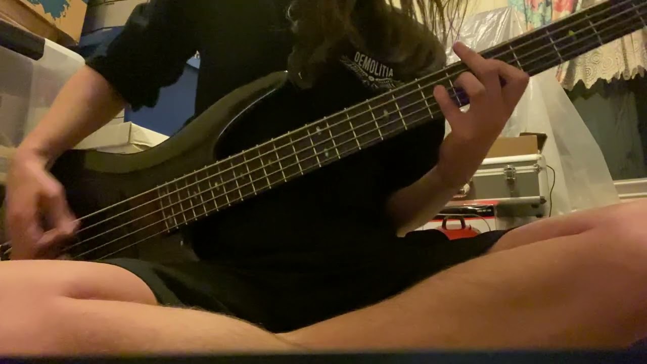 My Chemical Romance - House Of Wolves (Bass Cover)