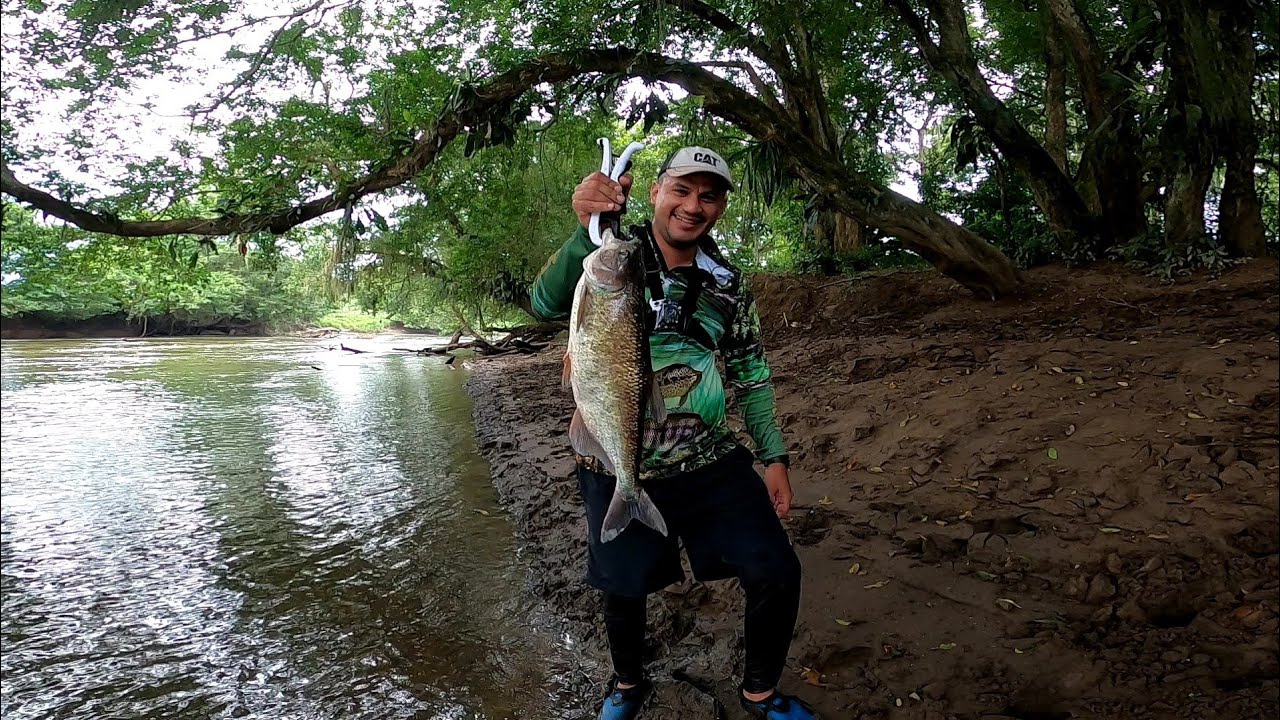 BIG Machaca +2.5 Kg con el Grillito Rebel🦗🐟🎣🛶🏞️💪🏼😎👌🏼
