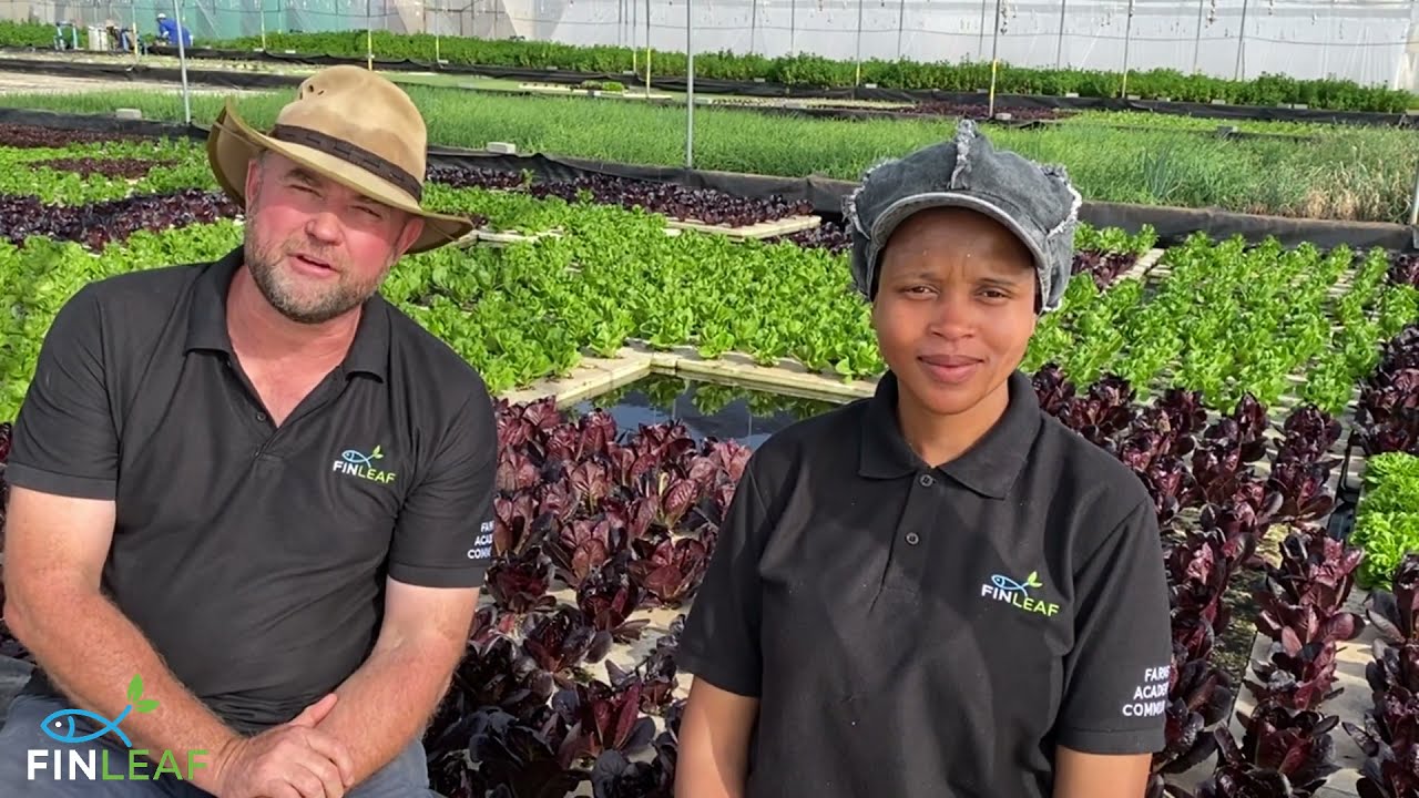 Welcome to FinLeaf Farm in Hekpoort, Gauteng Province