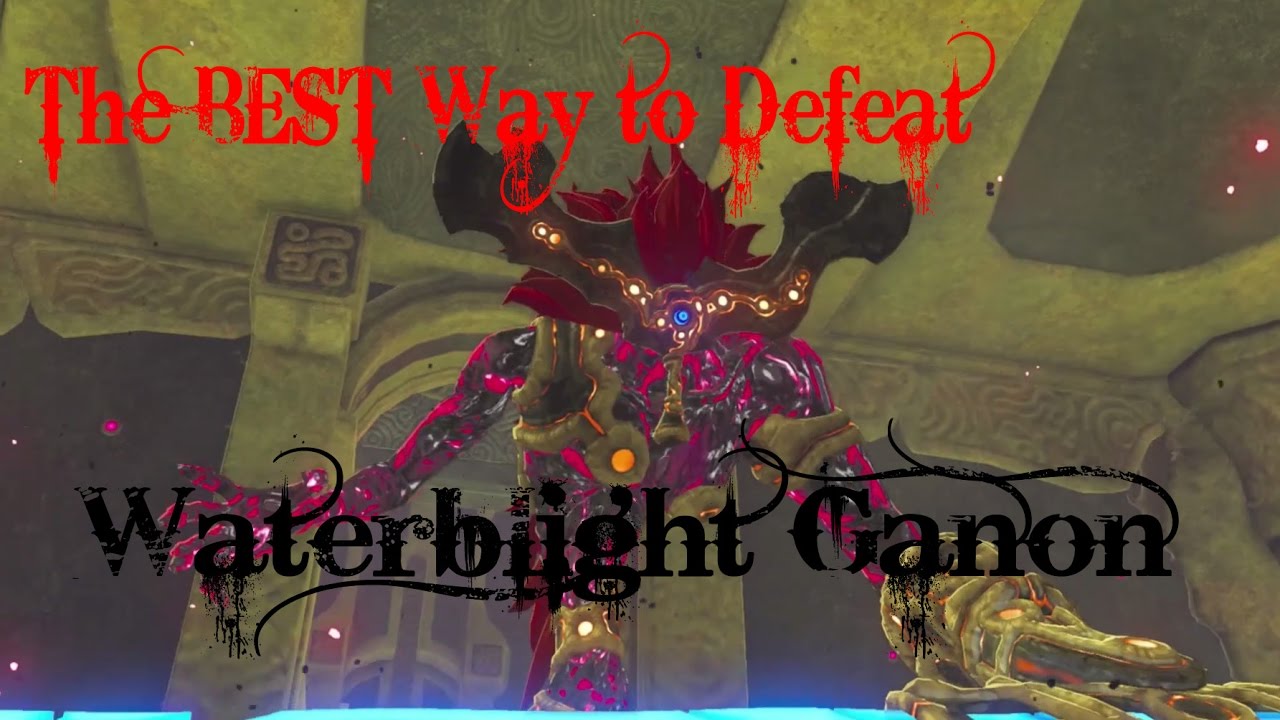 The BEST Way to Defeat Waterblight Ganon - Vah Ruta Divine Beast