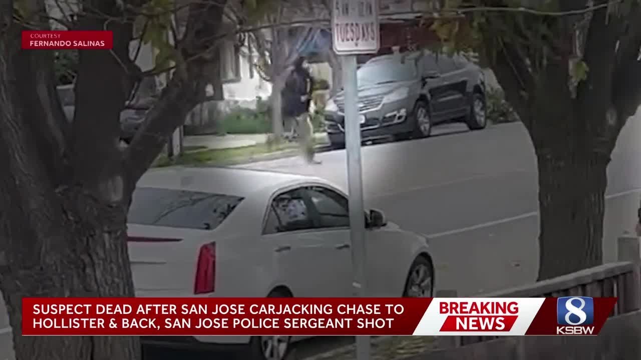 'Straight out of a GTA game': Witnesses describe chase ending in deadly police shootout