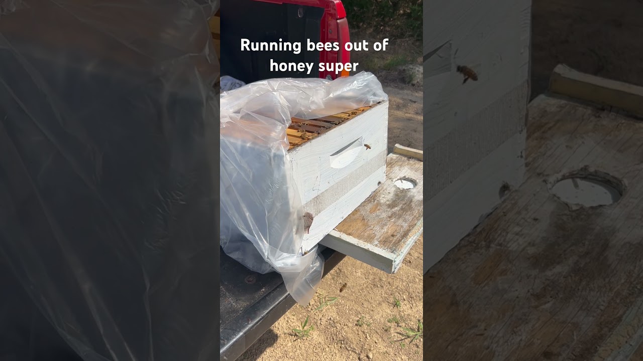 Honey-b-gone