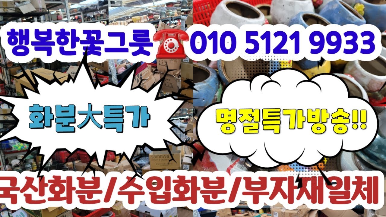 행복한꽃그릇☎️010 5121 9933 🌼[대특가]국산/수입/부자재 /국민다육#초보다육#다육쇼핑