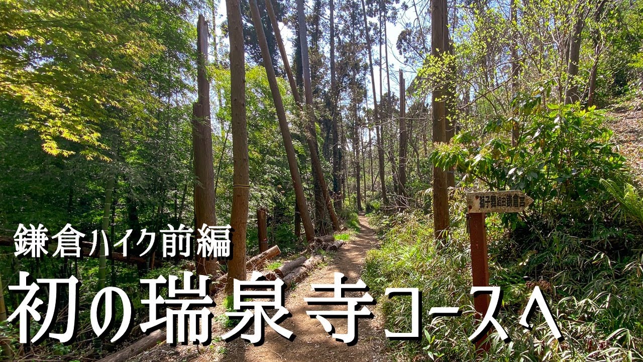 【鎌倉ハイク前編】封鎖解除の瑞泉寺コースへ！春の天園ハイキングコースを歩く