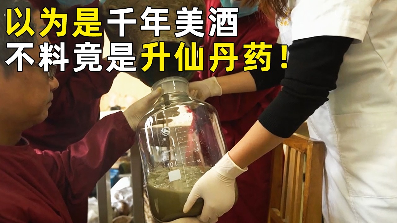 墓葬之中惊现缕缕金丝 千年美酒竟是从前的升仙丹药 意外发现的西汉大墓还有什么秘密？《探索·发现》奥秘（74）丨 中华国宝