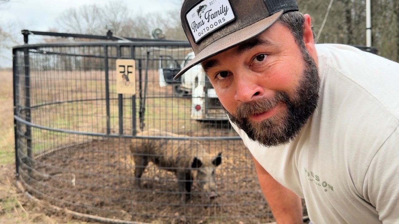 He's Back: The Legendary Jumping Pig Strikes Again