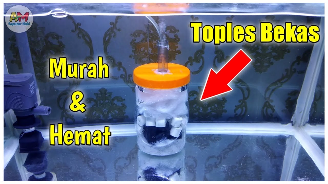 Cara Membuat Filter Biofoam Dari Toples Bekas