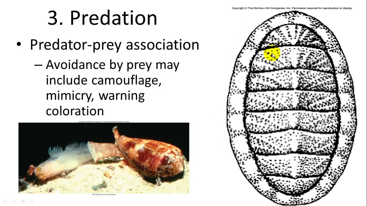 Marine Ecology