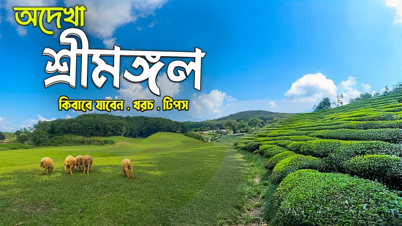 শ্রীমঙ্গলের অদেখা সৌন্দর্য ২০২৫ | হরিণছড়া | পাইন বন | Sreemangal Tour