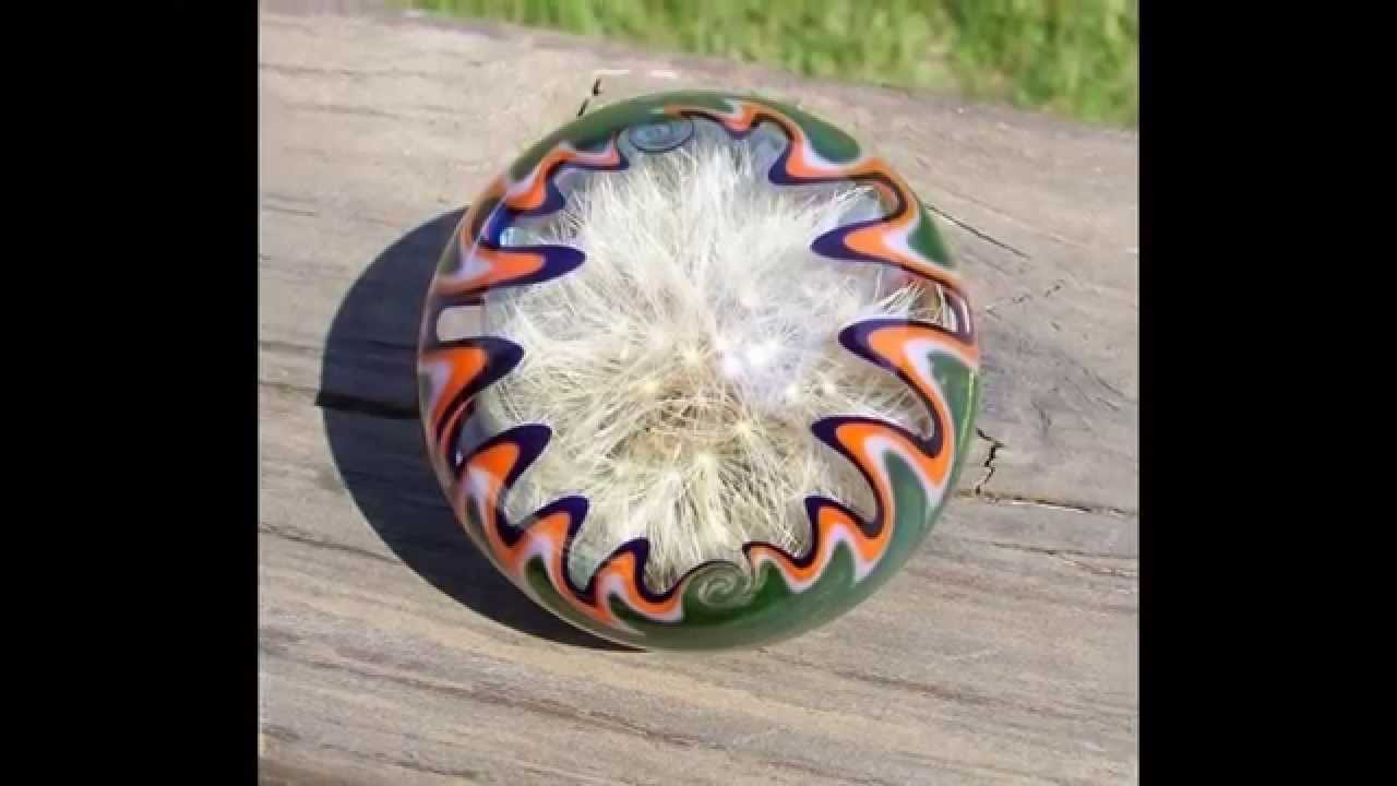 Dandelion Encased Hollow Glass Marble By Contemporary Glass Artists Gremlin