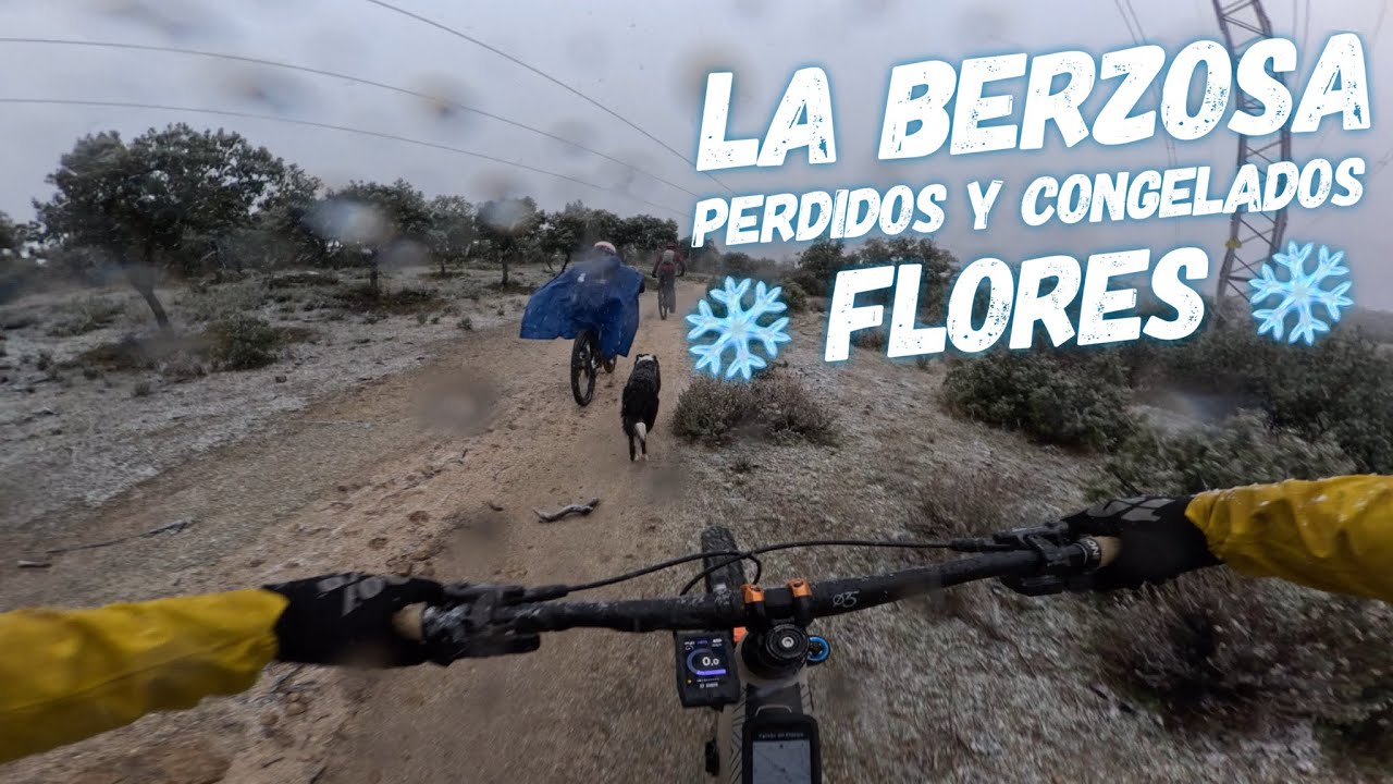 🚵🏻‍♂️⛰ Flores 🥶 🔷 | La Berzosa | Hoyo de Manzanares | (Madrid) | Enduro MTB | FOCUS SAM2
