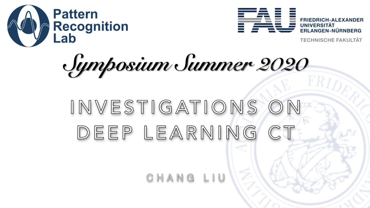 Summer PRS 2020: Robustness Investigations on Deep Learning CT