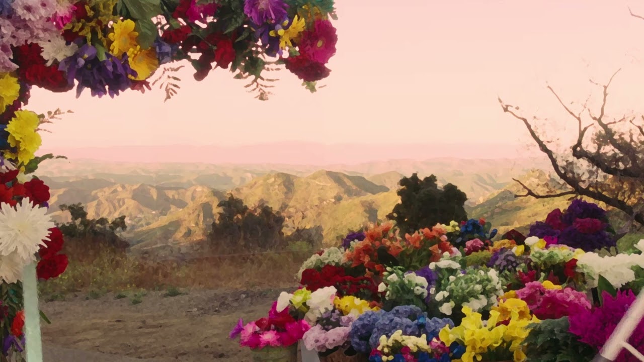 Jaden - Roses (Instrumental + Backing Vocals)