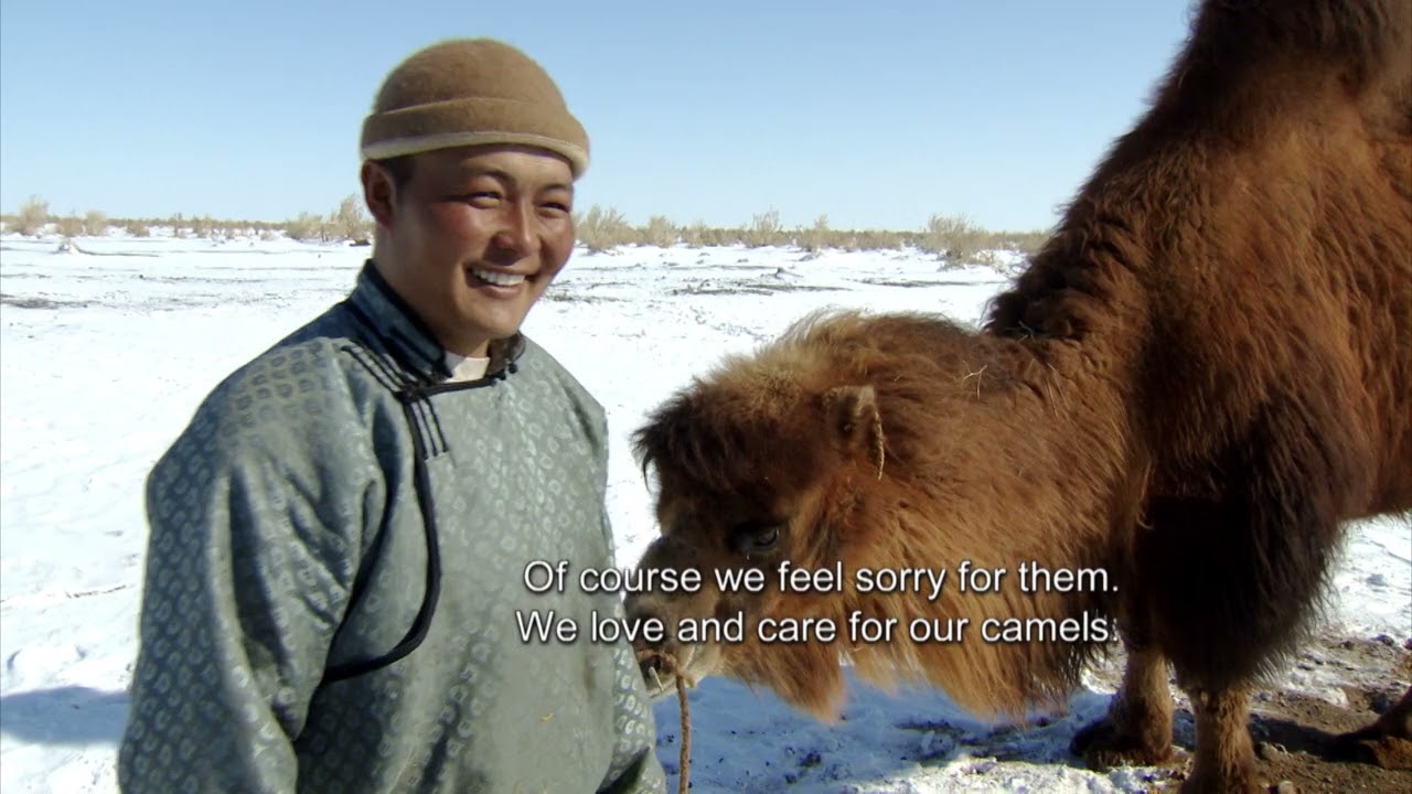 Exploring the Extreme Heat of the Gobi Desert |Doc of the Day