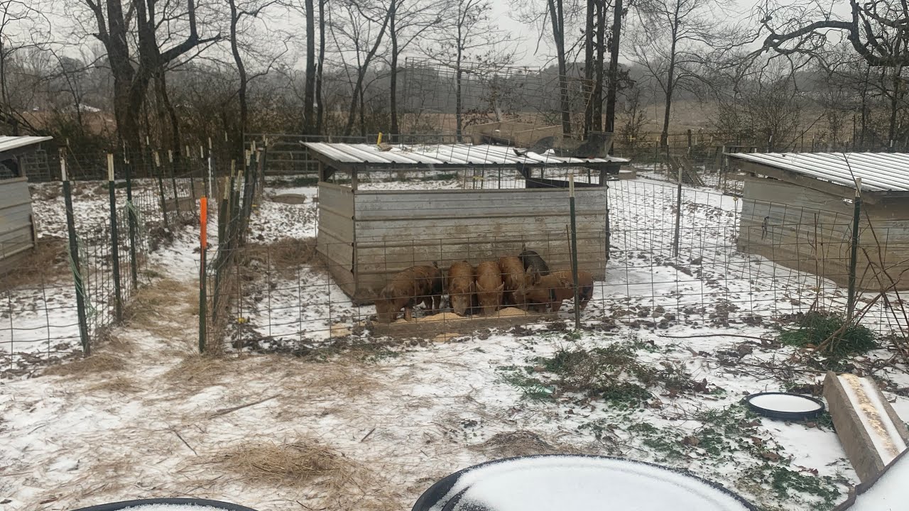 1st Snow / Ice day 2026