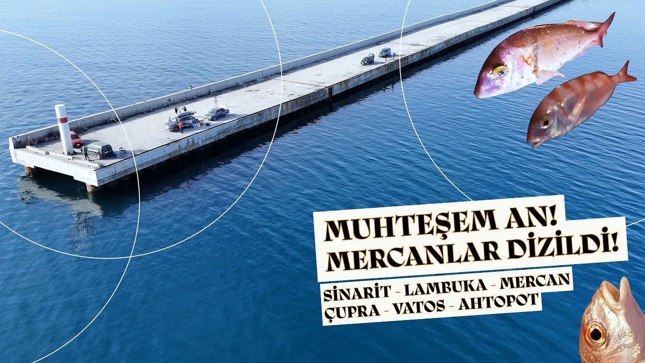 ÇANDARLI LİMANI'NDA AKSİYON DOLU AV | LAMBUKA - SİNARİT - MERCAN - ÇUPRA GELEN SÜPRİZ DOLU BALIKLAR🎣
