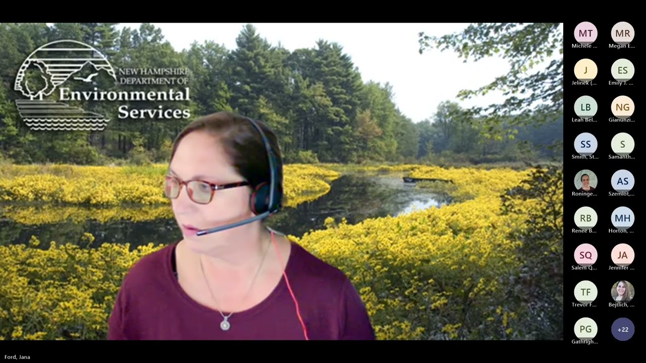 Digital Accessibility and Branding of NHDES Documents