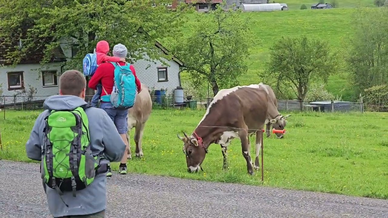 Waldstatt, Holzweg. 05.05.24