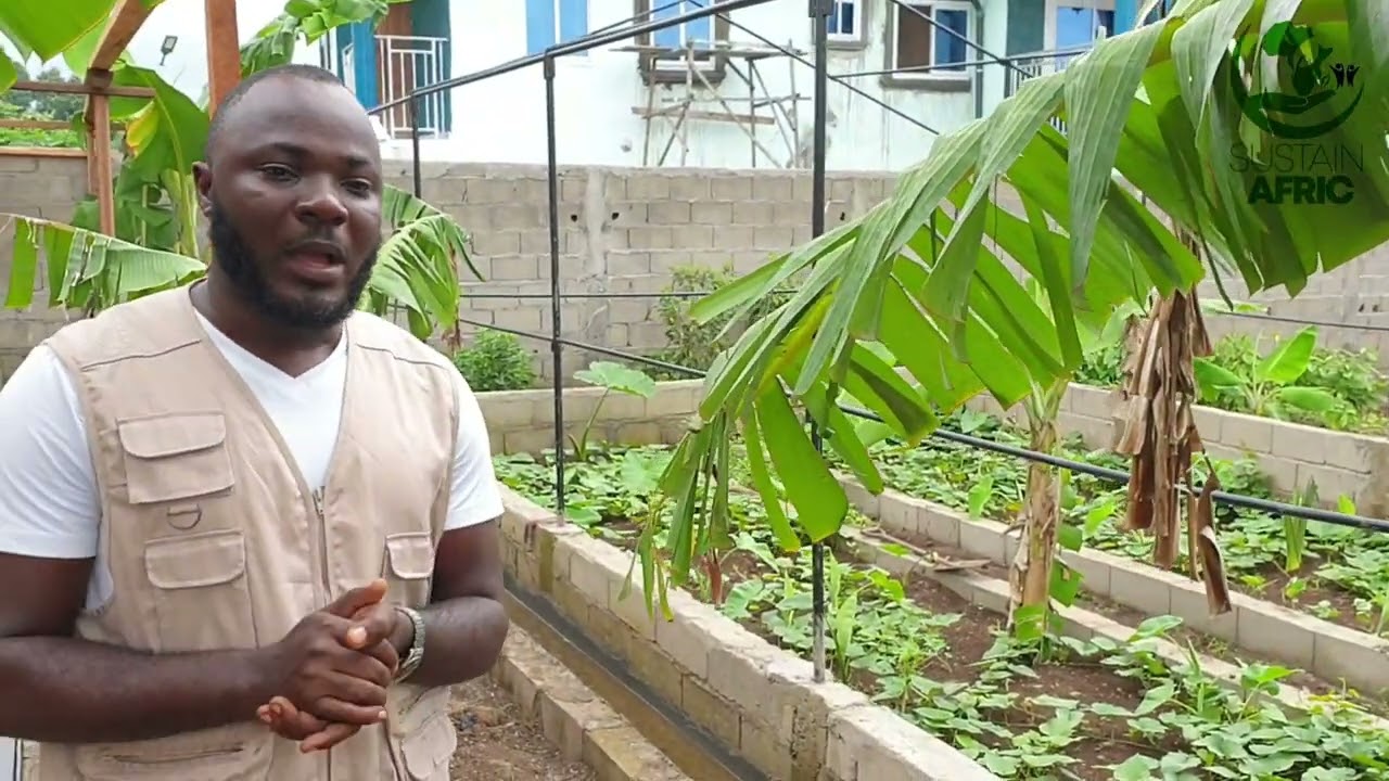 40,000-capacity Snail farm in Cameroon, Africa the First ever Greenhouse + Trench system. part 1