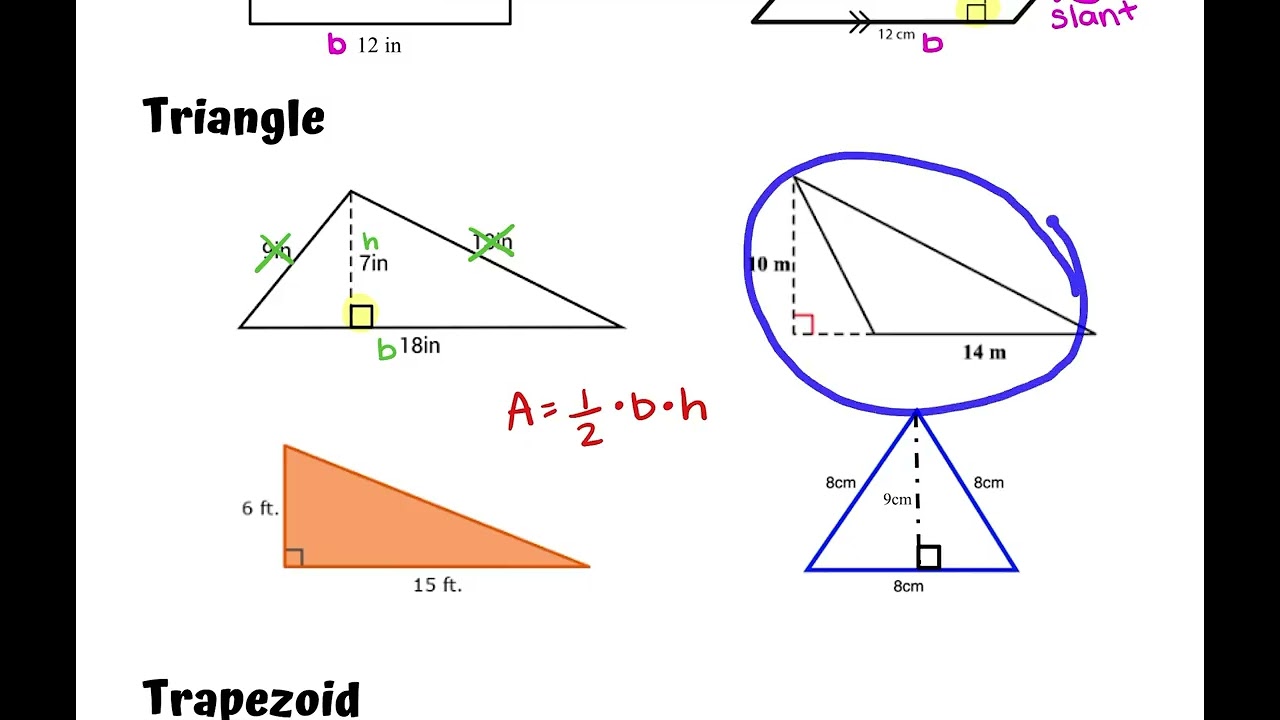 Area Equations Notes