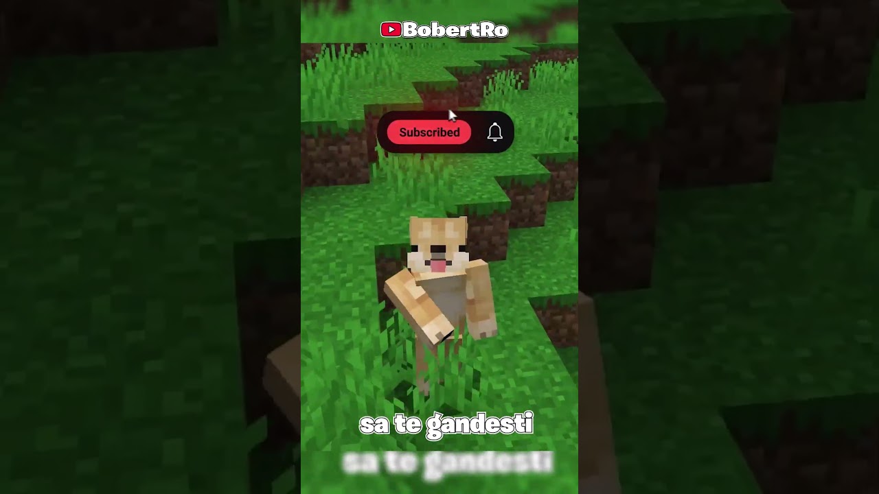 Incalc 10 Reguli Nescrise ale Minecraft-ului  #shorts #minecraft #bobertro